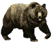 grizzly-bears-free-animated-gameznet 010.gif